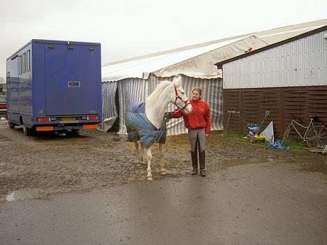 Anden særlig race unicorn(solgt) - unicorn på SVR.... billede 2