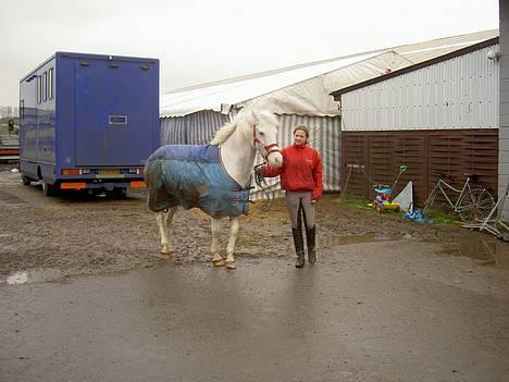 Anden særlig race unicorn(solgt) - unicorn til undervisning onsdag d. 31/8-05 billede 3