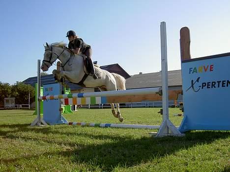 Anden særlig race unicorn(solgt) - unicorn til undervisning onsdag d. 31/8-05 billede 4
