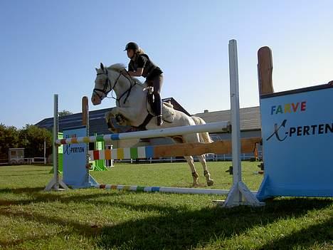Anden særlig race unicorn(solgt) - unicorn til undervisning onsdag d. 31/8-05 billede 5