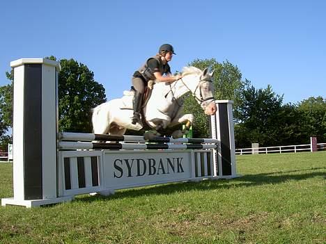 Anden særlig race unicorn(solgt) - unicorn til undervisning onsdag d. 31/8-05 billede 6