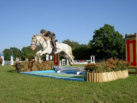 Anden særlig race unicorn(solgt) - unicorn´s salgsbillede billede 7