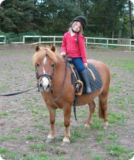 Anden særlig race Hyldtoft´s Pinocchio.  - Sara elsker sin lille pony. Er de ikk søde. Sara er 4 år på billedet. billede 1