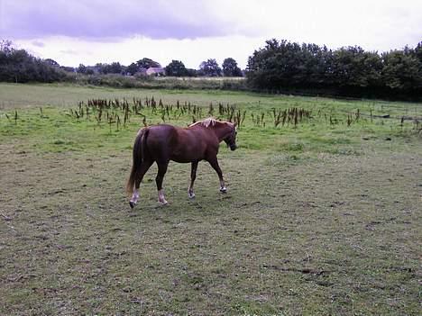 DSP Madonna - Nu gider Madonna altså ikke være model længere! billede 4
