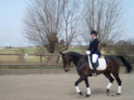 Traver Sif Langkjær (Ikke Min) billede 3