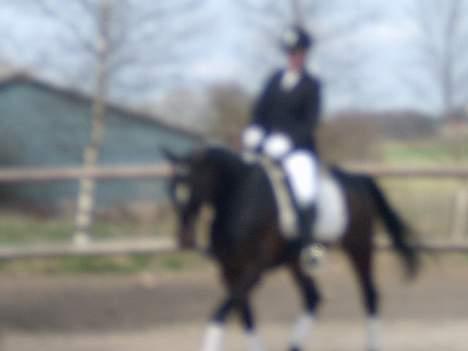 Traver Sif Langkjær (Ikke Min) billede 10