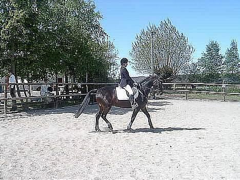 Traver Sif Langkjær (Ikke Min) billede 11