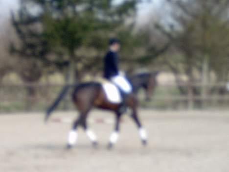 Traver Sif Langkjær (Ikke Min) billede 12