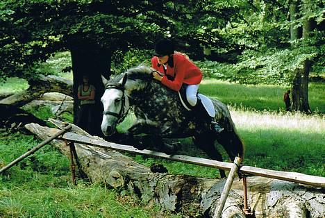 Connemara Baunely's Daphne - Jagt 27/8-06. billede 9