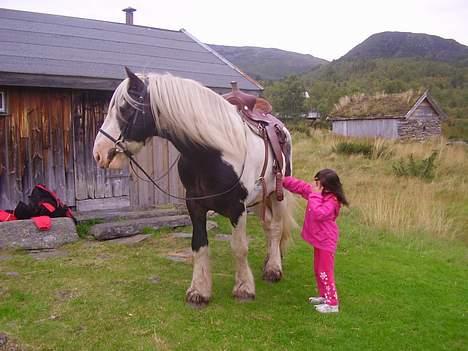 Tinker Gordon billede 11