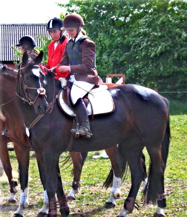 Anden særlig race Ebony *Solgt* - Ebony<3 billede 1