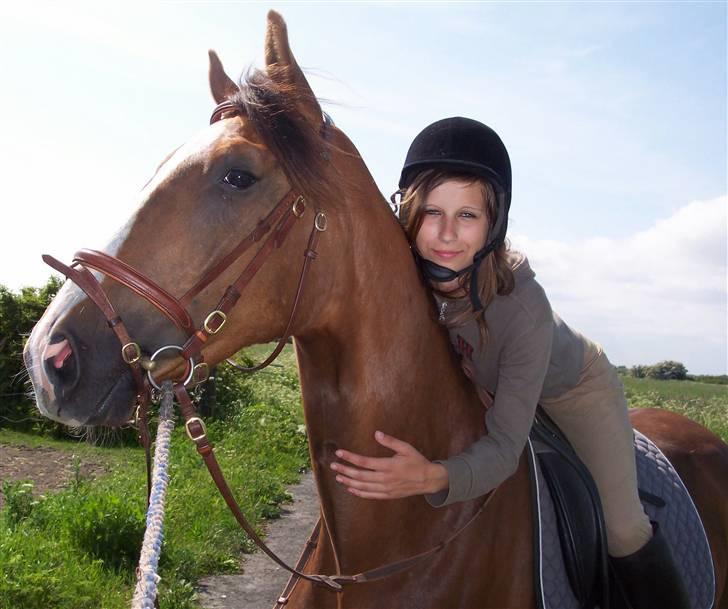 Dansk Varmblod Winzerkind  - Min smukke hest med min part, 3 gang med rytter på.. 15/6-06 billede 2