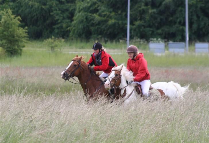 Anden særlig race Joe - hvil i fred - <3 billede 7
