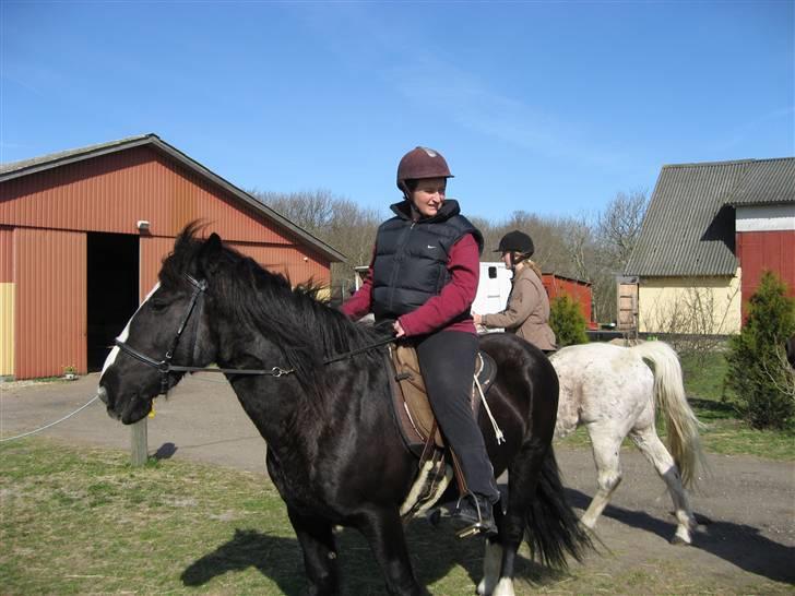 Tinker Miss I´Will - Mette & Miss I Will i Rørvig billede 5