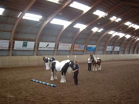 Tinker Lord Wallentin  * DØD * - Wallentin fik en FLOT 2 plads billede 8