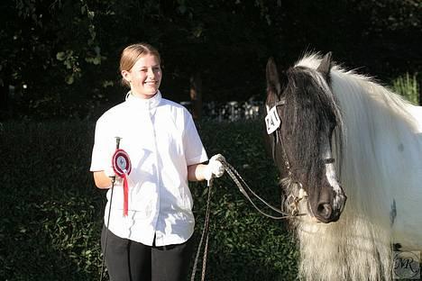 Tinker Lord Wallentin  * DØD * - Vinderhest til storehestedag..  billede 9
