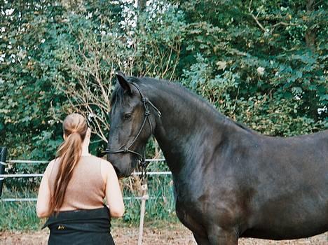 Frieser Nancy død d.19-02-2009 - 29-09-2006  så er hun startet på træningen billede 2