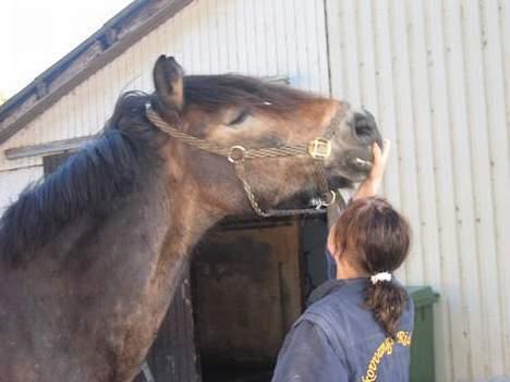 Anden særlig race gizmo (solgt) billede 7