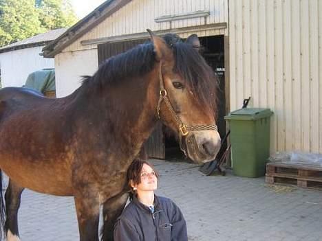 Anden særlig race gizmo (solgt) billede 8