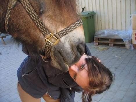 Anden særlig race gizmo (solgt) - Et heste kys til mig hehe billede 10