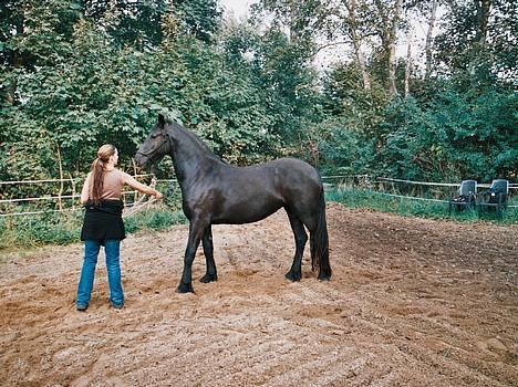 Frieser Nancy død d.19-02-2009 - 29-09-2006     "mor hvad skal jeg?" billede 5
