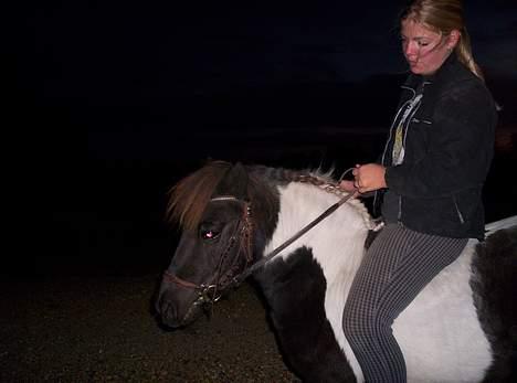 Pinto  *Krumme (Gl. passer) - det er mørkt... men bare for at vise, han er ridevan billede 9