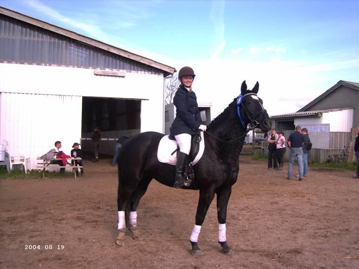 Anden særlig race Ebony *Solgt* - yes yes, 2 plads i vores første lc3, og første gang indørs:P 67 % hun var så fin billede 5