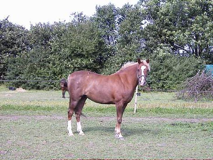 {{currentPhoto.altText}} billede {{currentPhoto.number}}