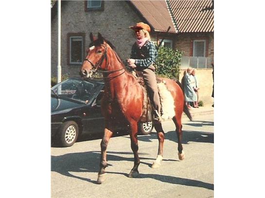 {{currentPhoto.altText}} billede {{currentPhoto.number}}