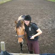 Anden særlig race Julie