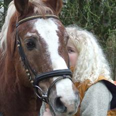 Anden særlig race Anton (gammel ridehest?)