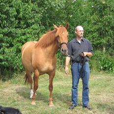 Mustang Emmy Lou