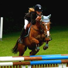 Anden særlig race SWEET CHERRY {b-pony}