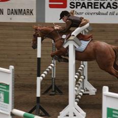Anden særlig race SWEET CHERRY {b-pony}