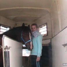 New Forest Kjølens Fraceska