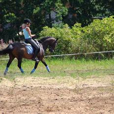 Anden særlig race Mr. Quickly SOLGT!