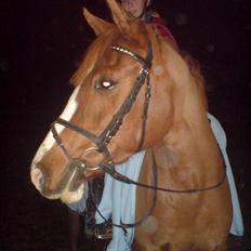 Anden særlig race Beauty- Min søsters pony 