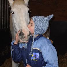 Anden særlig race Sandy R.I.P.