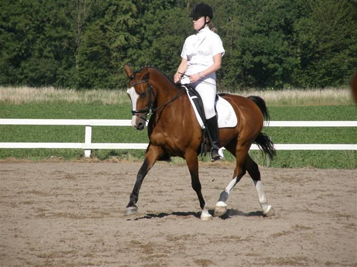 Sportsaraber (A) Chanel - Stævne på Brændte Ege 2008 - Opvarmning billede 12