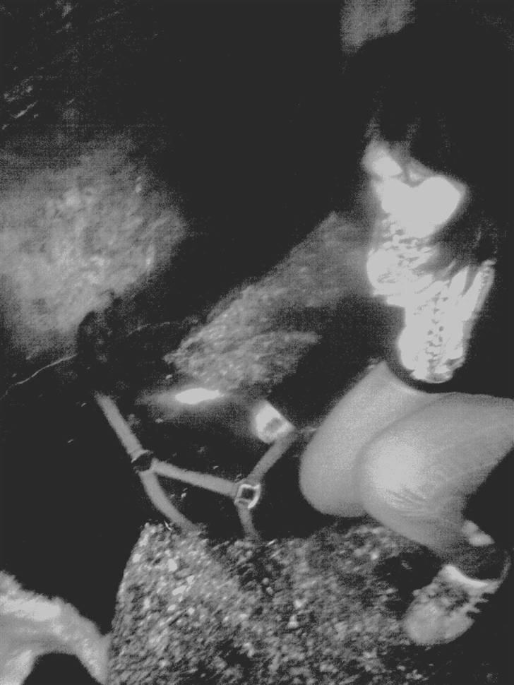 Pinto Delight  *død* - Mig og delight, Da han var næsten død :S billede 7