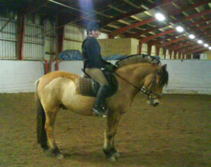 Anden særlig race flopper - fiin parade:) ( med forbene:D) billede 4