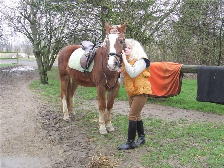 Anden særlig race Anton (gammel ridehest?) - Anton og jeg (med langt hår) billede 1