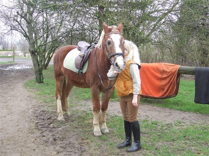Anden særlig race Anton (gammel ridehest?) - Os igeen billede 2