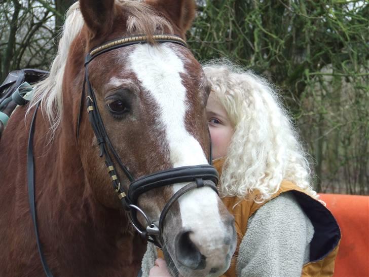 Anden særlig race Anton (gammel ridehest?) - Han er så cute billede 3