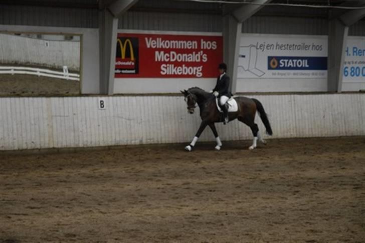 Oldenborg Usolan af Hvarre - Solgt billede 9