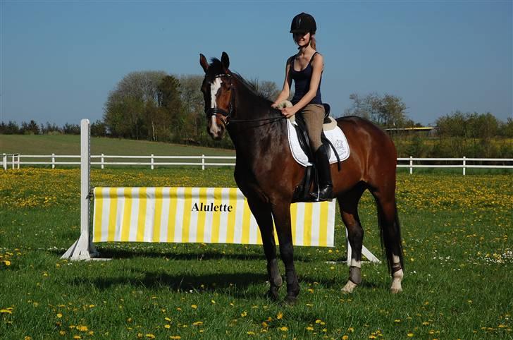 Oldenborg Usolan af Hvarre - Solgt billede 12