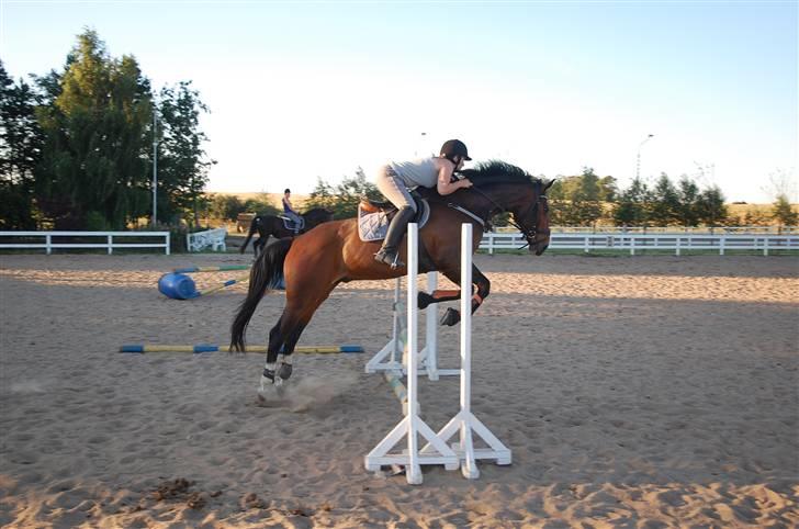 Oldenborg Usolan af Hvarre - Solgt - Charlotte og Ulle billede 15