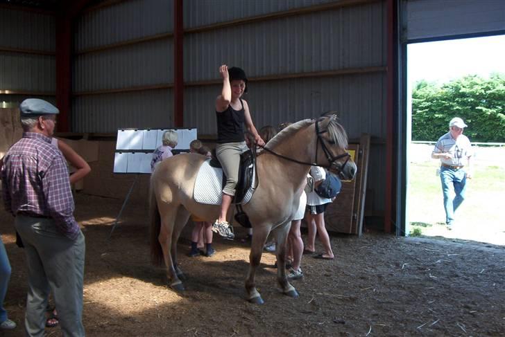 Fjordhest Vestergårdens Trine SOLGT - Min veninde på Trine mens jeg venter på resultat billede 12