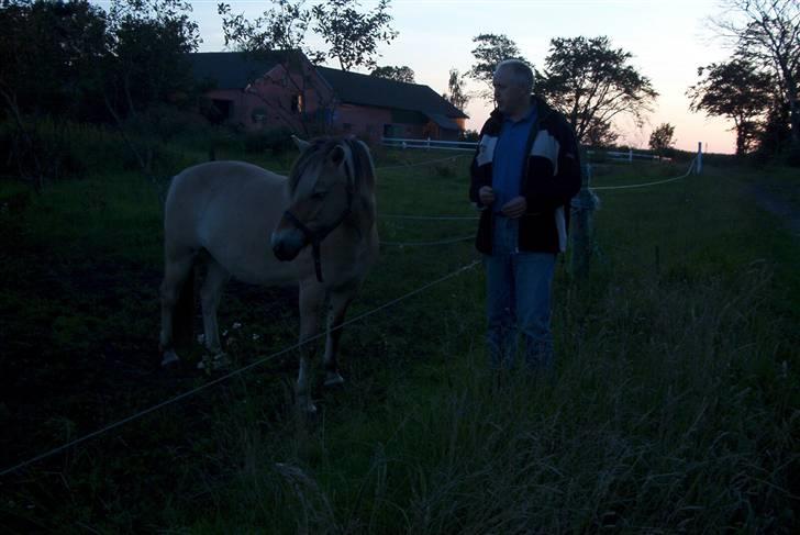 Fjordhest Vestergårdens Trine SOLGT - Trine og min far 05 billede 17