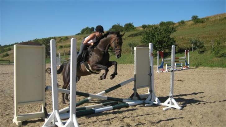 Holstener Lolitta billede 2